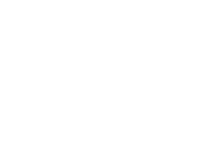 white fille logo